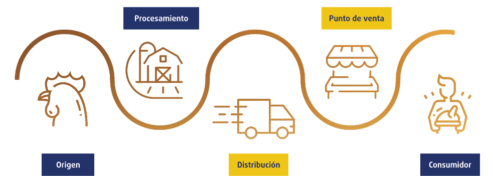 Representación a partir de íconos de la cadena de valor con la que Avigrupo cumple como empresa en cada pedido