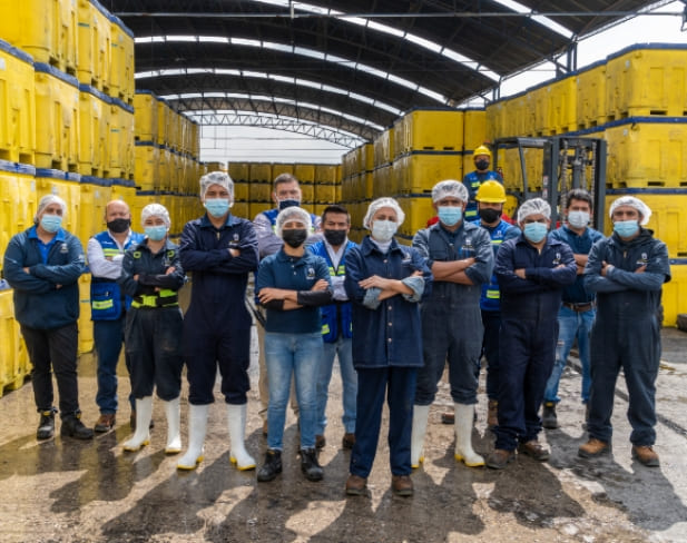 Talento Avigrupo en el área de carga de totes dentro de la planta de procesado