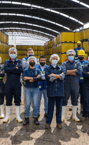 Equipo de Avigrupo con uniforme y elementos para guardar la sanidad en la planta de procesado de la marca