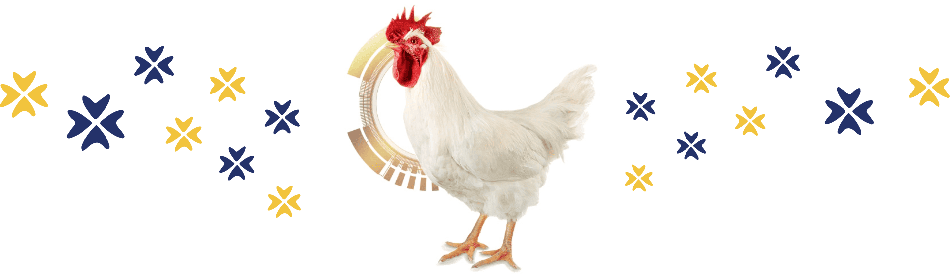 Interfaz con un pollo en pie con íconos de la identidad de la marca alrededor