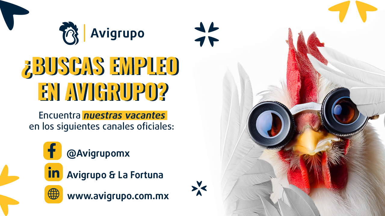 Equipo de logística de Avigrupo preparando una entrega a partir de un pedido realizado por un cliente