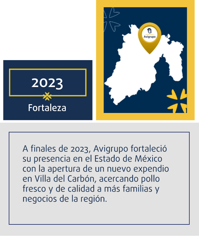 Corporativo Avigrupo