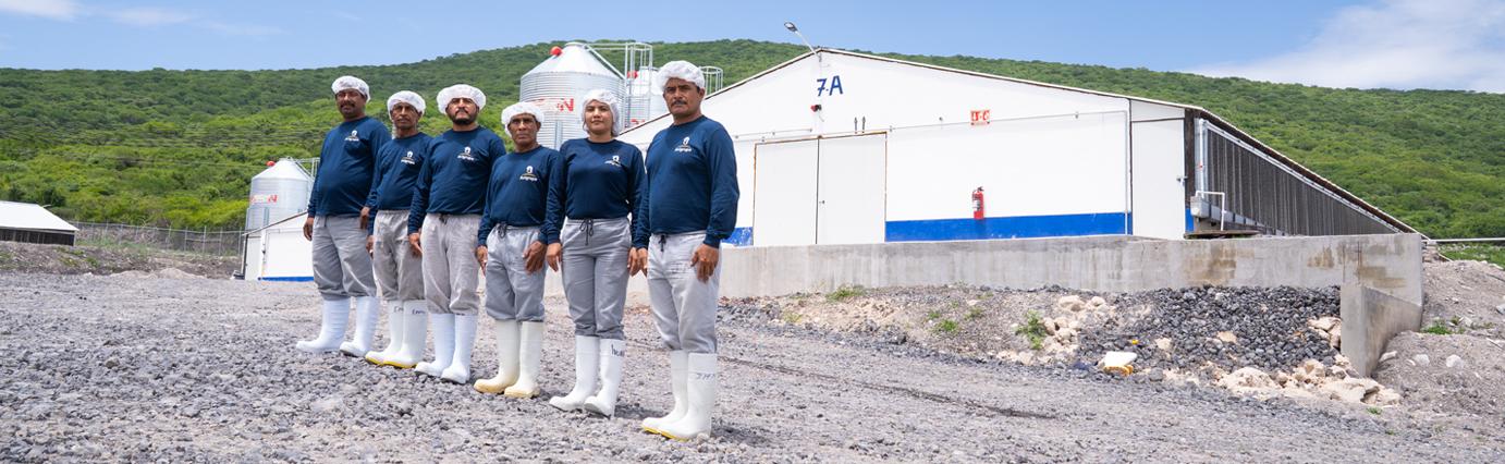 un-viztazo-a-la-avicultura